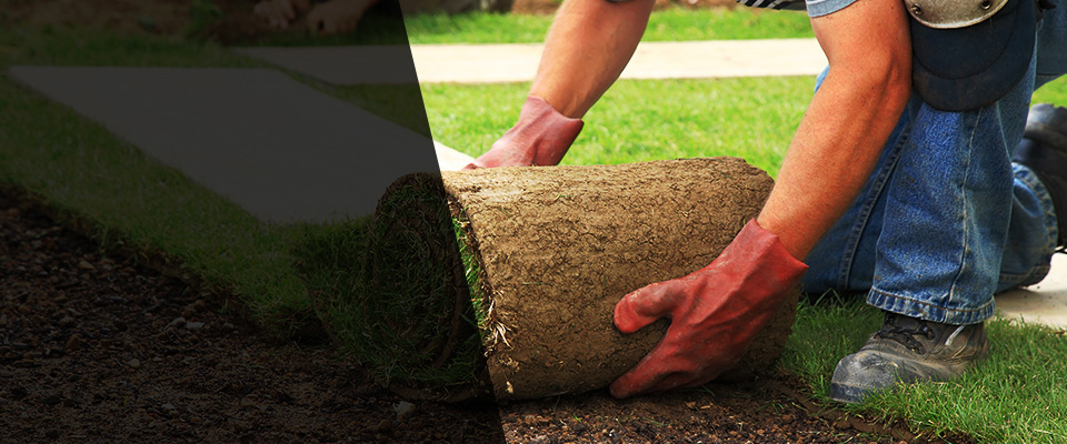 Branchville Landscapers